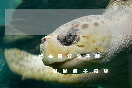 離婚夫妻分房子能過戶嗎(夫妻雙方離婚房子過戶,但是房子按揭)