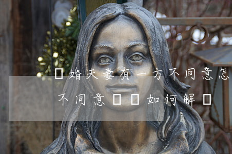 離婚夫妻有一方不同意怎么辦(離婚中有一方不同意離該如何解決)
