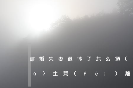 離婚夫妻退休了怎么領(lǐng)獨(dú)生費(fèi)(離婚之后獨(dú)生子女費(fèi)還能領(lǐng)嗎)