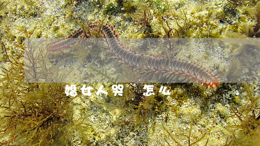 離婚女人哭鬧怎么辦