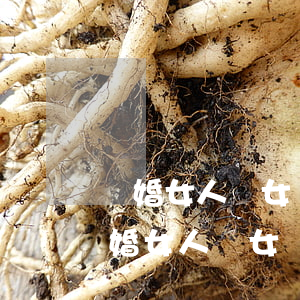 離婚女人帶女兒想找個(gè)長期飯票(離婚女人帶女兒想找個(gè)長期飯票)