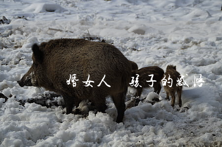 離婚女人帶孩子的感悟