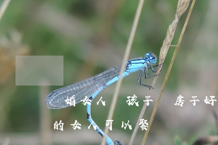 離婚女人帶孩子買房子好不好(離過婚帶孩子的女人可以娶嗎?)