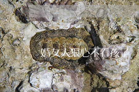 離婚女人狠心不看孩子