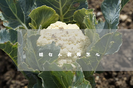 離婚女人背叛怎么辦