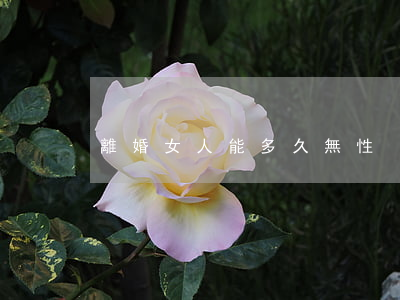 離婚女人能多久無性
