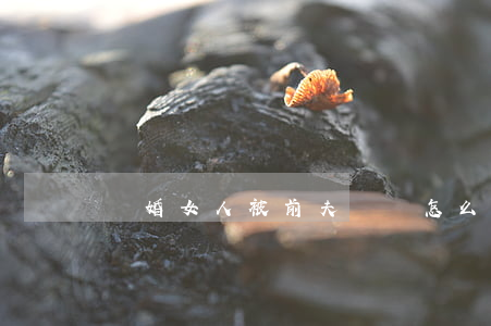 離婚女人被前夫騷擾怎么辦