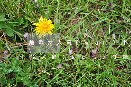 離婚女人買(mǎi)車后回娘家(離了婚的女人過(guò)年能回娘家嗎)