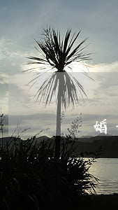 離婚女兒性享受