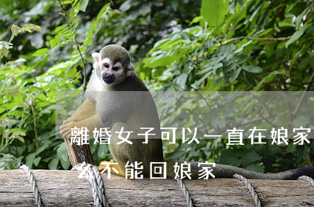 離婚女子可以一直在娘家嗎(離婚的女人為什么不能回娘家)