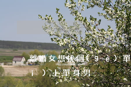 離婚女想找個(gè)單身男(離婚女愛(ài)上單身男)
