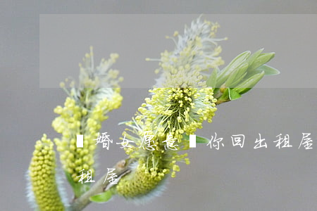 離婚女愿意帶你回出租屋(女生愿意帶你回出租屋)