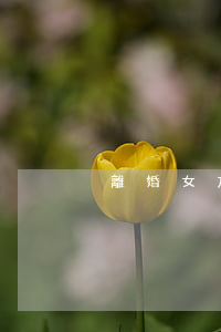 離婚女方不履行合同怎么辦