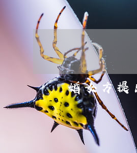 離婚女方提出