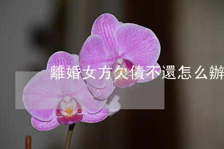 離婚女方欠債不還怎么辦