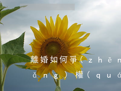 離婚如何爭(zhēng)奪孩子撫養(yǎng)權(quán)(離了婚以后還可以爭(zhēng)奪孩子的撫養(yǎng)權(quán)嗎?)