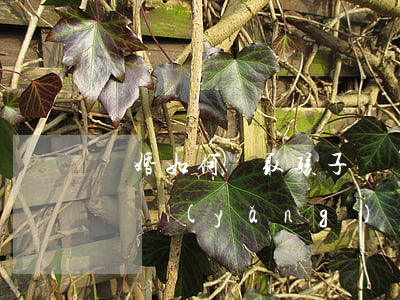 離婚如何爭取孩子撫養(yǎng)權，離婚撫養(yǎng)權怎么爭取
