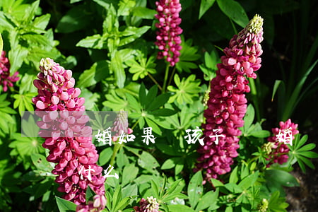 離婚如果對孩子說(離婚對于孩子來說意味著什么)