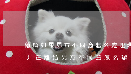 離婚如果男方不同意怎么處理(現(xiàn)在離婚男方不同意怎么辦)