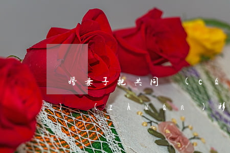 離婚妻子把共同財(cái)產(chǎn)轉(zhuǎn)移了怎么辦