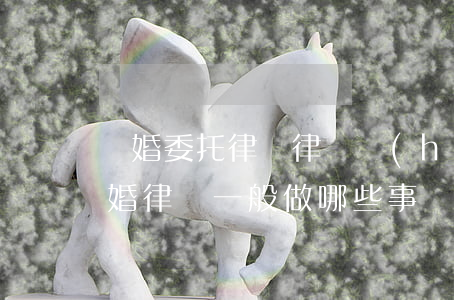 離婚委托律師 律師會(huì)做些什么(離婚律師一般做哪些事)