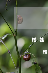 離婚娃兒給男方男方不養(yǎng)怎么辦(離婚孩子判給男方,男方不撫養(yǎng)怎么辦)