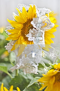 離婚娘家人對(duì)女兒疼愛(ài)(娘家人不重視自己的女兒)