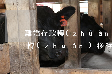 離婚存款轉(zhuǎn)移技巧(離婚成功轉(zhuǎn)移存款案例)