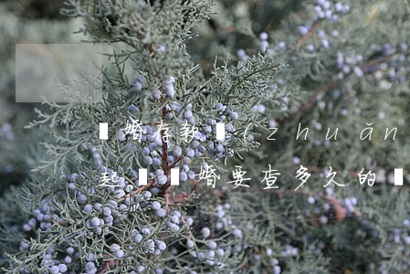 離婚存款轉(zhuǎn)移法院能否查到(起訴離婚要查多久的轉(zhuǎn)移財(cái)產(chǎn))