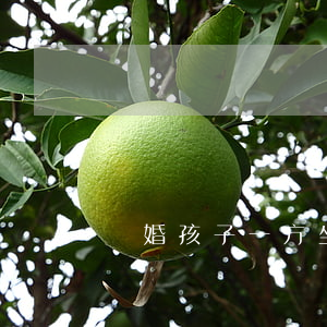 離婚孩子一方坐牢怎么辦