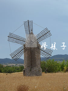 離婚孩子不認(rèn)我該怎么辦