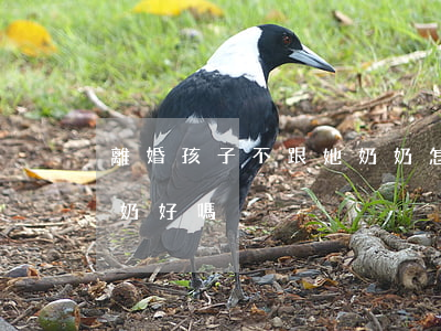離婚孩子不跟她奶奶怎么辦(離婚后孩子跟奶奶好嗎)