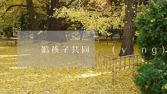 離婚孩子共同撫養(yǎng)怎么辦