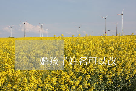 離婚孩子姓名可以改嗎