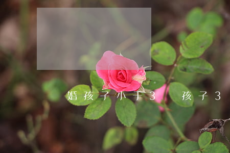 離婚孩子小于3歲(孩子3歲以下離婚判給誰)