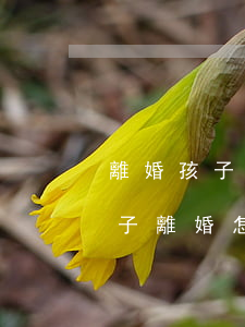 離婚孩子必須判給一方嗎(有兩個(gè)孩子離婚怎么判,可以全判給一方嗎?)