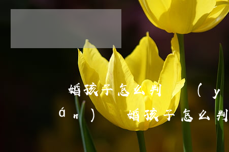 離婚孩子怎么判撫養(yǎng)權(quán)(離婚孩子怎么判撫養(yǎng)權(quán)撫養(yǎng)費)