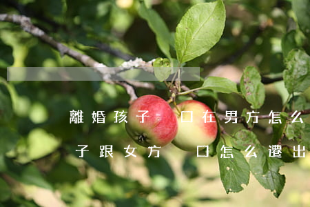 離婚孩子戶口在男方怎么遷回女方(離婚了,孩子跟女方,戶口怎么遷出)