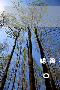 離婚孩子戶口怎么遷回女方(離婚了把孩子的戶口遷到女方需要什么手續(xù))