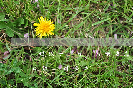 離婚孩子戶口遷出女方怎么辦(離了婚小孩戶口能遷到女方)