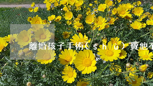 離婚孩子手術(shù)費他不出怎么辦