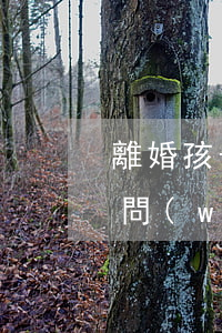 離婚孩子撫養(yǎng)權(quán)問(wèn)題(訴訟離婚孩子撫養(yǎng)權(quán)問(wèn)題)