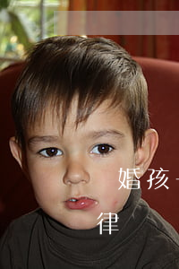 離婚孩子撫養(yǎng)權(quán)律師費(fèi)用收取標(biāo)準(zhǔn)(離婚孩子撫養(yǎng)權(quán)律師咨詢)