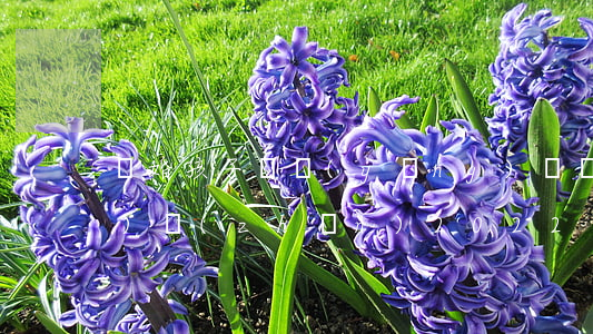 離婚孩子撫養(yǎng)費標(biāo)準(zhǔn)2022
