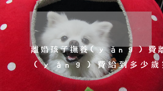 離婚孩子撫養(yǎng)費(離婚孩子撫養(yǎng)費給到多少歲完事)