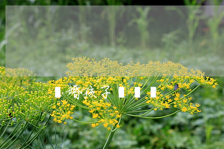 離婚孩子歸屬權