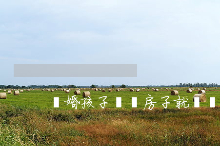 離婚孩子歸誰房子就歸誰嗎