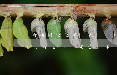 離婚孩子爸爸不給我撫養(yǎng)權(quán)(離婚父親不撫養(yǎng)自己的孩子會(huì)怎么樣?)