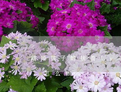 離婚孩子的扶養(yǎng)權(quán)怎么辦