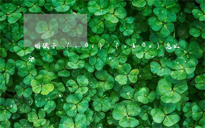 離婚孩子財(cái)產(chǎn)怎么分